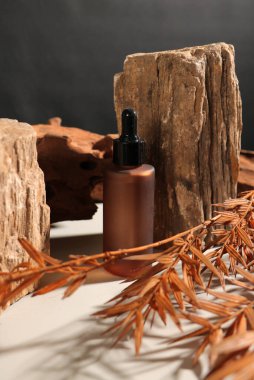 Kozmetik şişeleri, yağ ve çam kozalakları ahşap masa üzerinde, metin için yer