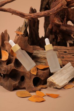 Bej arka planda kuru dalları olan doğal yağ şişeleri.
