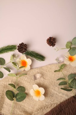 Spa ve güzellik kavramı