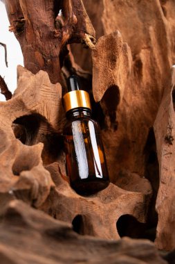 Kahverengi bir çam ağacının arka planında taze siyah ve beyaz yapraklı bir yağ şişesi. alternatif tıp.