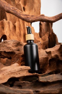 Siyah bir parfüm şişesi. Çam dallarının arka planında siyah bir kapak var..