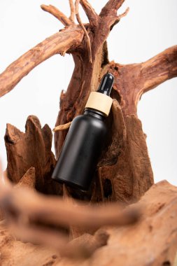 siyah yağ şişesi ve kuru köknar ağacı dalları. organik kozmetik ürünleri. spa.