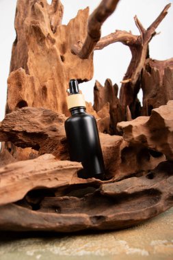 Ahşap zemin üzerinde siyah serum ve yağ olan bir şişe. Spa ve güzellik konsepti. Boşluğu kopyala.