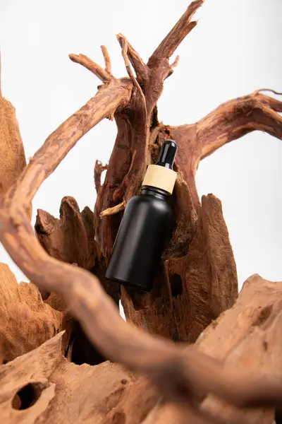 Kuru kahverengi ağaç dalları olan şişe, kuru kahverengi ten, beyaz arka planda kozmetik ürünü.