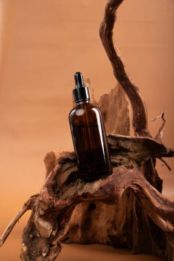 Bir şişe doğal yağ ve bej arka planda kuru kahverengi çam ağacı dalları. organik kozmetik ürün.
