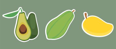 Beyaz arkaplanda avokado seti.