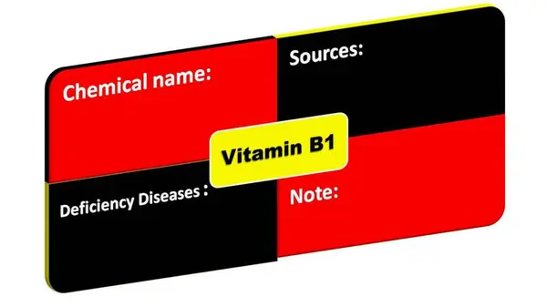 B1 vitamini - Kimyasal isim eksikliği hastalıkları-kaynak biçimi. Bu B1 vitamini detaylandırma biçimi.