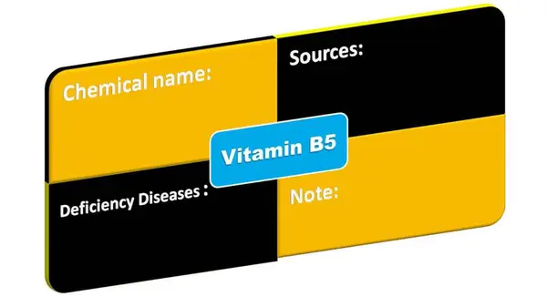 B5 vitamini - Kimyasal isim eksikliği hastalıkları-kaynak formatı. Bu B5 vitamini detaylandırma biçimi.