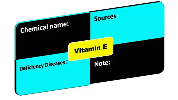E vitamini - Kimyasal isim eksikliği hastalıkları-kaynak formatı. Bu E vitamini ayrıntı biçimi.