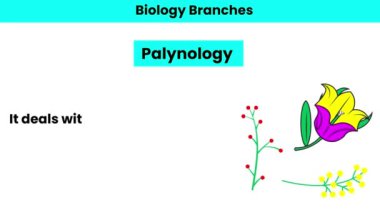 Palynoloji. Biyoloji Bölümü 