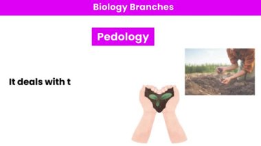 Pedoloji. Biyoloji Bölümü 