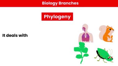 Felsefe. Biyoloji Bölümü 