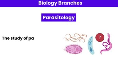 Parazitoloji. Biyoloji Bölümü 