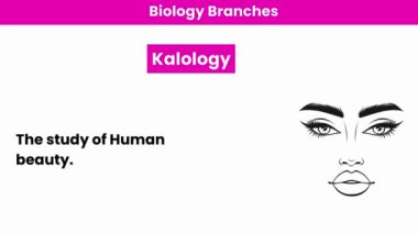 Kaloloji ve Malakoloji. Biyoloji Bölümü 
