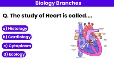 Kalp Çalışması. Biyoloji Bölümü 