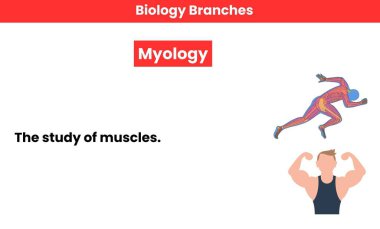 Biyoloji bölümü. Bilim dalında. Bilimsel çalışma. 