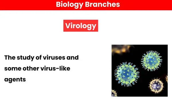  Viroloji. Biyoloji Bölümü