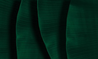 Canlı Yeşil Eğri Arkaplan Modern Projeler için Soyut Tasarım