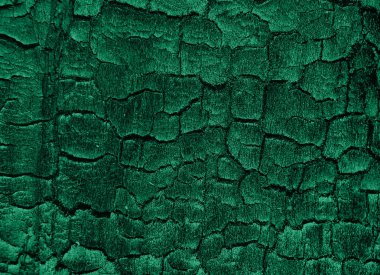 Büyüleyici Yeşil Akışkan Soyut: Organik Akış ve Sıvı Sanat Arkaplanı