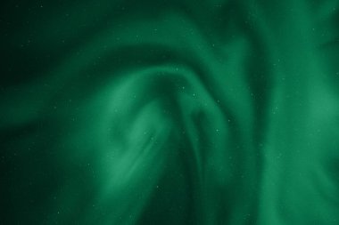 Büyüleyici Yeşil Akışkan Soyut: Organik Akış ve Sıvı Sanat Arkaplanı