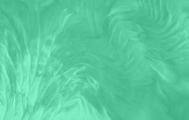 Büyüleyici Yeşil Akışkan Soyut: Organik Akış ve Sıvı Sanat Arkaplanı