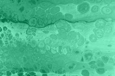 Büyüleyici Yeşil Akışkan Soyut: Organik Akış ve Sıvı Sanat Arkaplanı