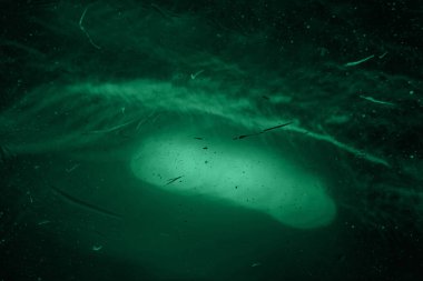 Canlı Yeşil Gürültü ve Statik Soyut Arkaplan Fütürist Dijital Doku