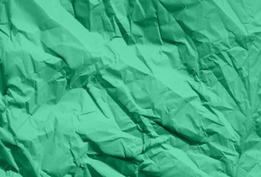 Yaratıcı Projeler için Yeşil Boyalı Özgeçmiş