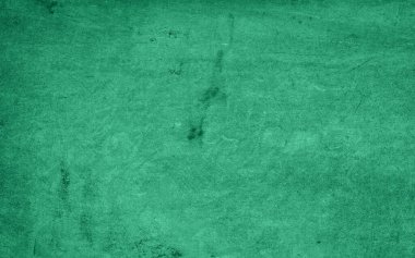 Yaratıcı Projeler için Yeşil Boyalı Özgeçmiş