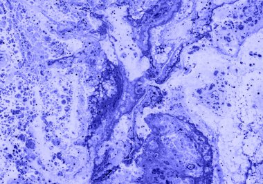 Büyüleyici Donanma Sıvısı Özeti: Organik Akış ve Sıvı Sanat Arkaplanı