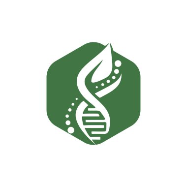 Yeşil yaprak DNA organik vektör logosu tasarımı.