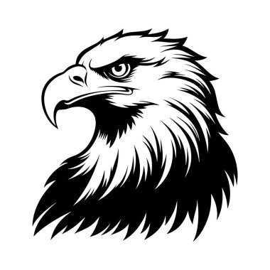 kartal kafa vektör tasarımı