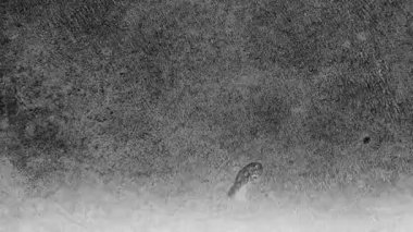 grunge stop motion kumlu retro vintage tanecikler döngüsü soyut arkaplan