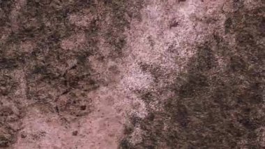 Klasik film efekti dokusu grunge stop motion overlay, hareket soyut arkaplan döngüsü animasyonu, birleştirmeye uygun, cesur