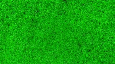 yeşil ekran grunge stop motion kumlu retro vintage tanecikler döngüsü soyut arkaplan