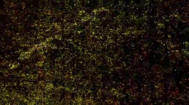 grunge stop motion kumlu retro vintage tanecikler döngüsü soyut arkaplan