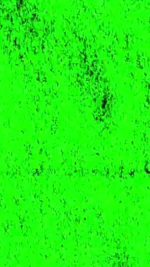 yeşil ekran grunge tahıl animasyonu doku arka plan döngüsü canlandırması