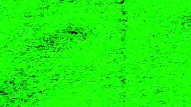 yeşil ekran grunge tahıl animasyonu doku arka plan döngüsü canlandırması