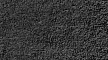 4k siyah film makara tozu kaplaması, animasyon grunge doku döngüsü çizgi animasyonu, duvar desenli hareket tasarımı