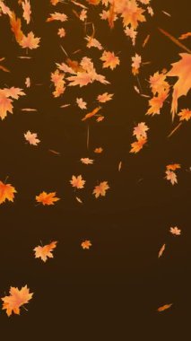 Düşen akçaağaç yaprakları döngü animasyonu, birleştirme için mükemmel, hareket doğası soyut arkaplan