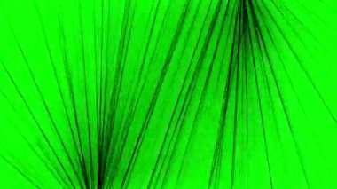 çizgi düşen soyut animasyon yeşil ekran (kroma anahtarı), veri konsepti, bilgi yağmuru matris tasarımı