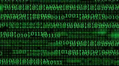 yeşil ekran ikili sayı teknolojisi soyut hareket arkaplanı, döngü animasyonu, programlama, bilgisayar kodlama kavramı