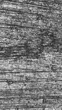 beyaz stop motion grunge kirli arka plan, cesur, çizikler ve retro vintage etkisi için animasyon