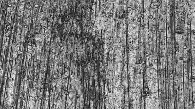 beyaz stop motion grunge kirli arka plan, cesur, çizikler ve retro vintage etkisi için animasyon