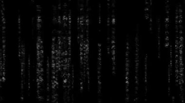 arıza efekti, siyah arkaplanda izole edilmiş matris kodlama animasyonu ile örtüşüyor, hackleme ve kodlama hatası için uygun