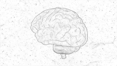 3D X-ray görüntüsü insan beyni animasyon arka planı, gelecekteki modern teknoloji kavramı