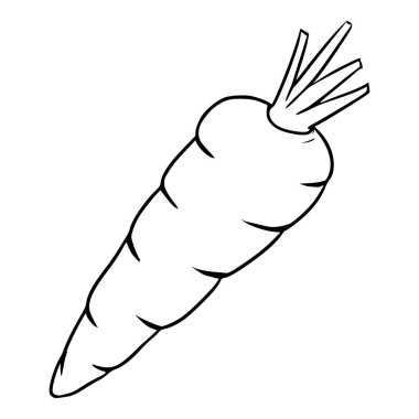 Havuç çizimi taslak çizim vektörü