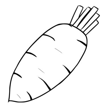 beyaz turp çizimi çizim ana hatları vektörü