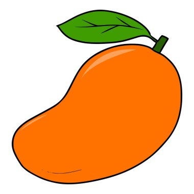 taze mango illüstrasyon el çizimi renkli vektör