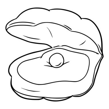 Deniz tarağı çizimi el çizimi taslak vektörü